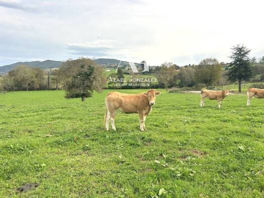 Acker-/Waldstück zum Kauf 225.000 € Ribamontán al Monte 39794