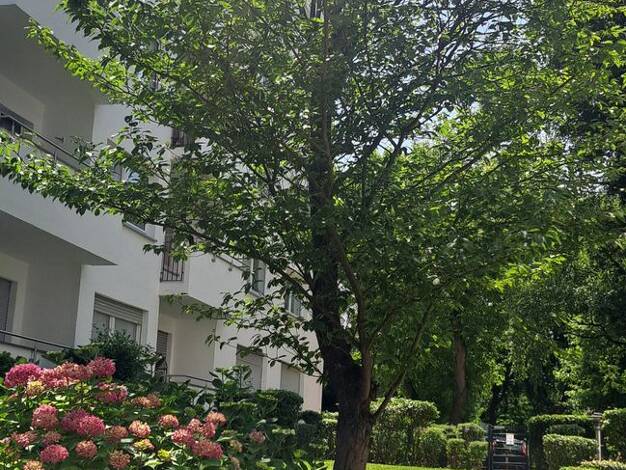 Wohnung zum Kauf provisionsfrei 299.000 € 2 Zimmer 58 m² Geschoss 1/6 Wiesbaden 65191