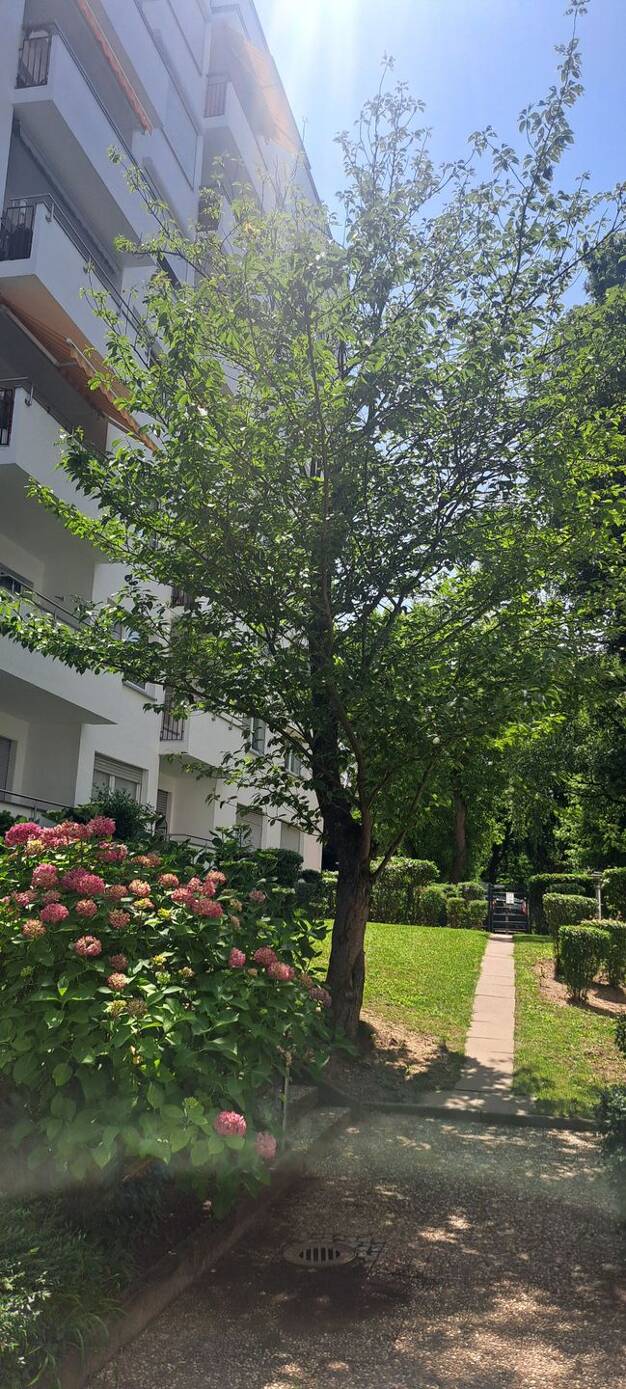 Wohnung zum Kauf provisionsfrei 299.000 € 2 Zimmer 58 m² Geschoss 1/6 Wiesbaden 65191