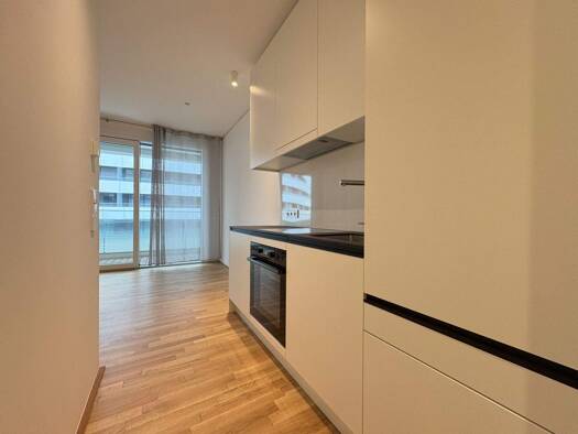 Studio zur Miete 715 € 1 Zimmer 30,9 m² 3. Geschoss Wagramer Straße 2A Wien 1220