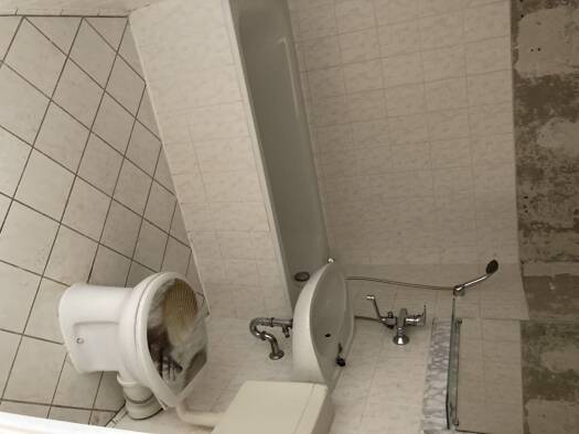 Wohnung zur Miete 297 € 3 Zimmer 57,2 m² 5. Geschoss Am Rosengarten 83a Ammendorf-Beesen Halle (Saale) 06132
