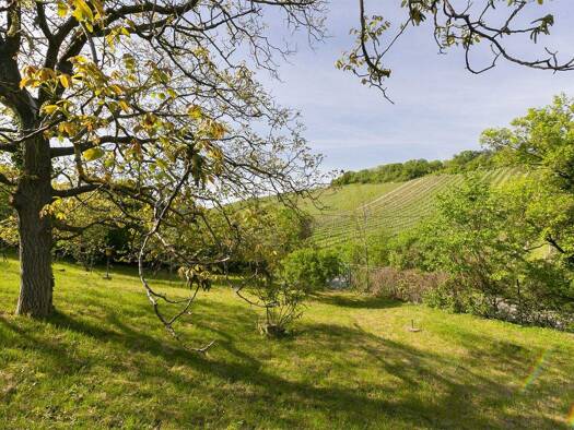 Grundstück zum Kauf 540.000 € 507 m² Grundstück Wien 1190