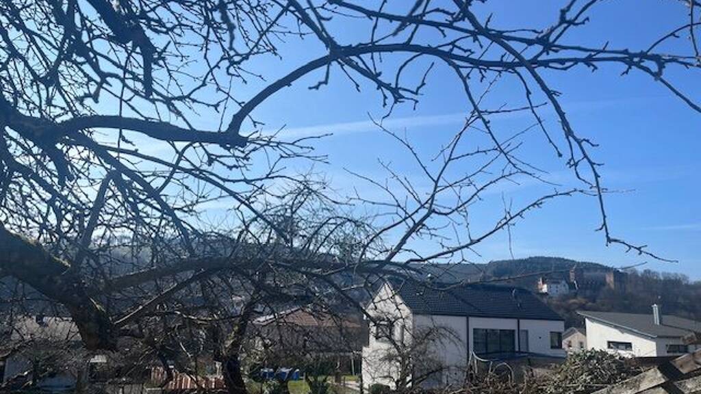 Wohnung zur Miete 600 € 3 Zimmer 100 m² Geschoss 1/2 frei ab 01.05.2026 Rieneck 97794