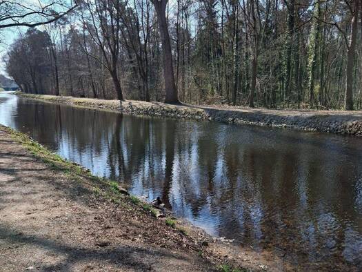 Wohnung zur Miete 960 € 3,5 Zimmer 89 m² 2. Geschoss Gartenstadt Nürnberg 90469