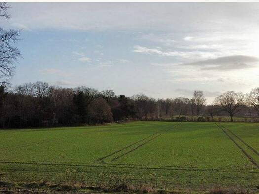 Sonstiges zum Kauf - Erstbezug als Kapitalanlage geeignet 1.895.000 € 520 m² 1.250 m² Grundstück Rade 22889