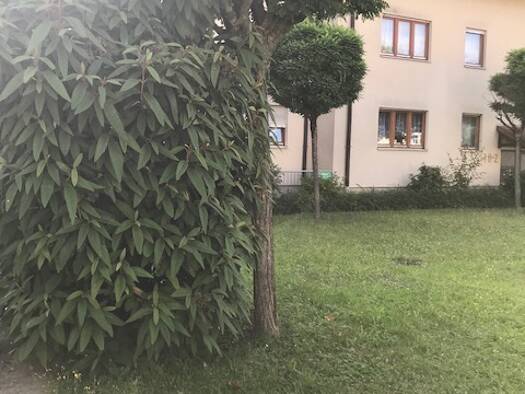 Wohnanlage zum Kauf provisionsfrei als Kapitalanlage geeignet 249.000 € 2,5 Zimmer 72,5 m² Am Hasenwäldchen 18 Rastatt Rastatt 76437