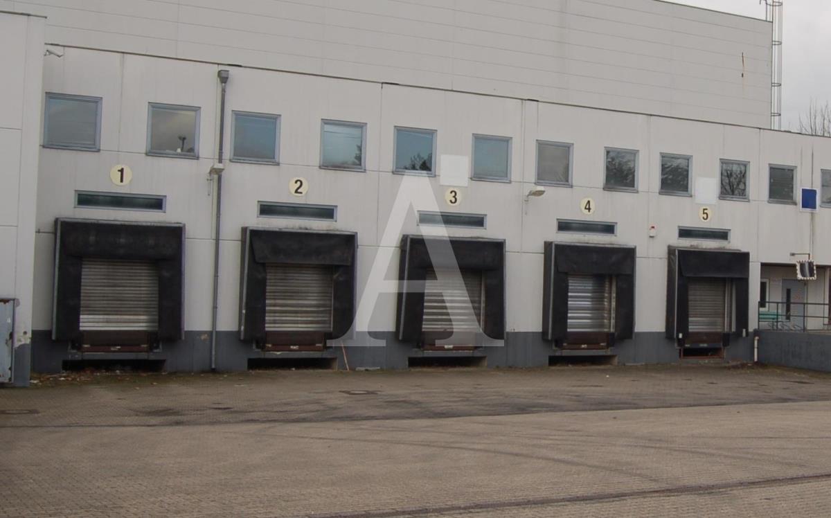 Halle/Industriefläche zur Miete 3.500 m²<br/>Lagerfläche ab 3.500 m²<br/>Teilbarkeit Paffendorf Bergheim 50126