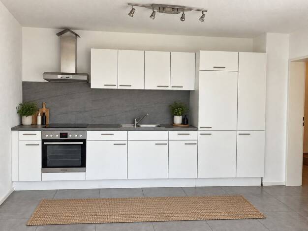 Wohnung zur Miete 550 € 2 Zimmer 40 m² 1. Geschoss Wangen Öhningen 78337