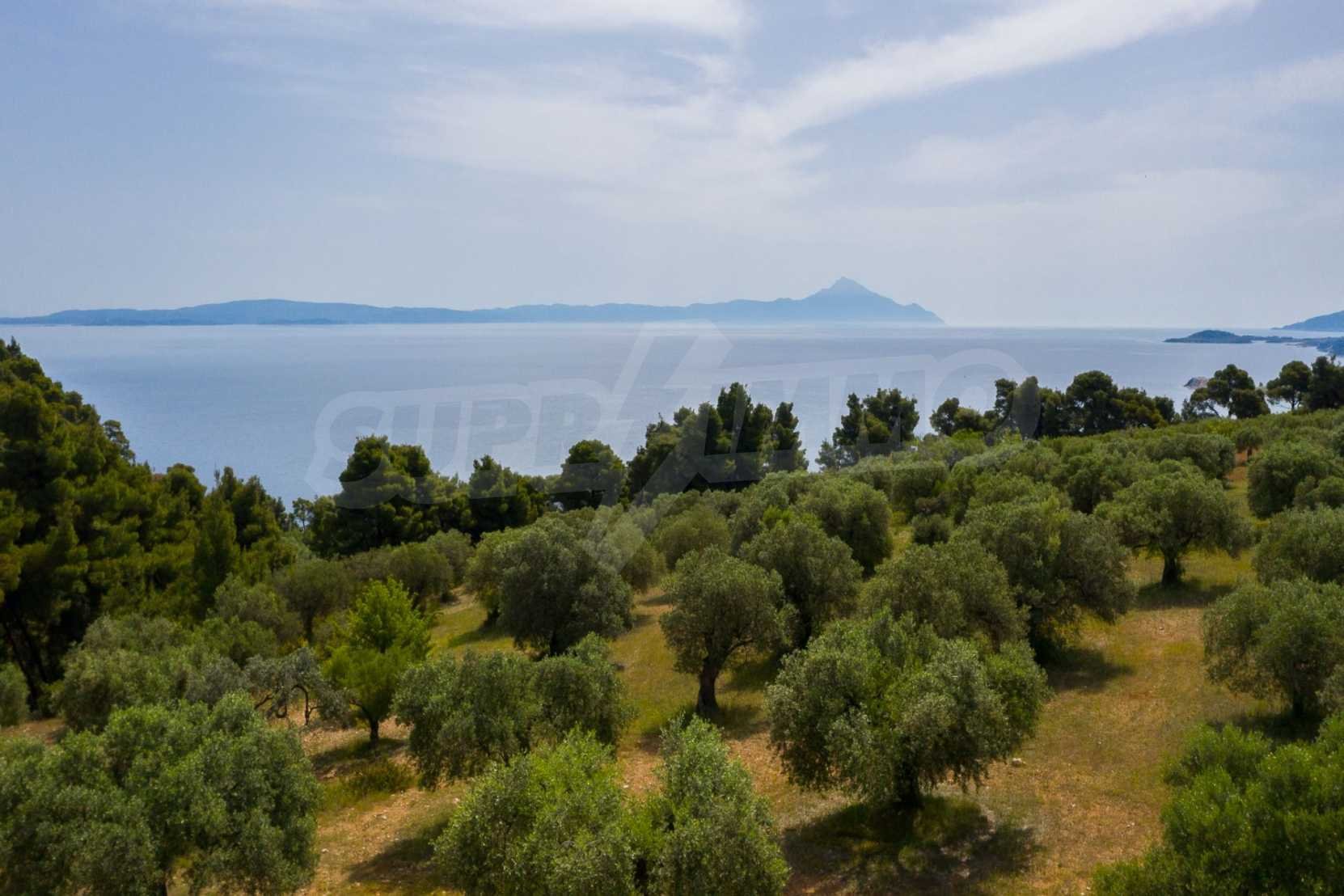 Landwirtschaftliche Fläche zum Kauf 385.000 € Agios Nikolaos