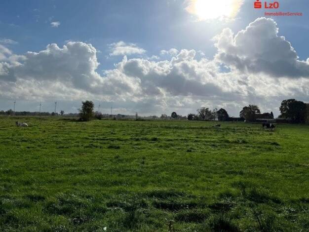 Land-/Forstwirtschaft zum Kauf 1,40 € 32.912 m² Grundstück Norder-Frieschenmoor Ovelgönne 26939