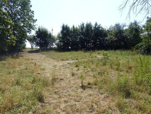 Grundstück zum Kauf 72.000 € 2.600 m² Grundstück Lampertswalde Cavertitz 04