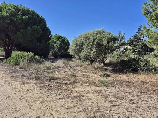 Grundstück zum Kauf provisionsfrei 105.000 € 600 m² Grundstück Barbate 11159