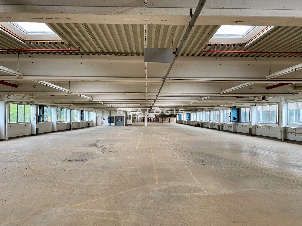 Halle/Industriefläche zur Miete 5.353 m²<br/>Lagerfläche ab 1.980 m²<br/>Teilbarkeit Delbrück Delbrück 33129