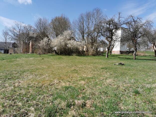 Grundstück zum Kauf 82.000 € 4.367 m² Grundstück Hauptstraße 14 Lippersdorf Pockau-Lengefeld 09514