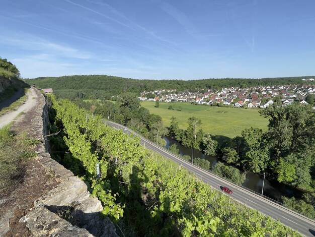 Grundstück zum Kauf 1.985 m² Grundstück Bietigheim Bietigheim-Bissingen 74321