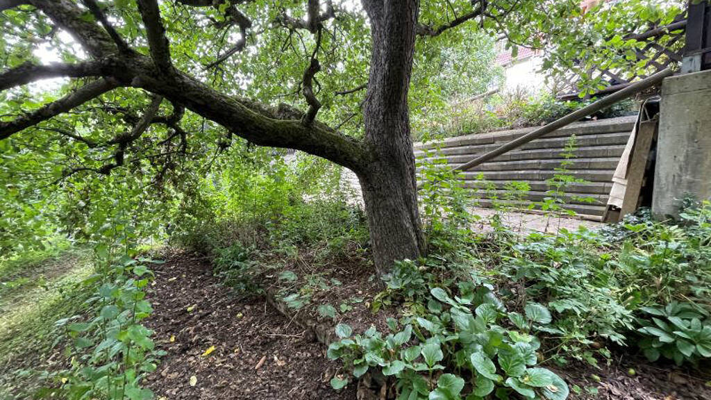 Immobilie in Dörfles-Esbach - Einfamilienhaus mit sonnigem Grundstück in Dörfles - Bild 0