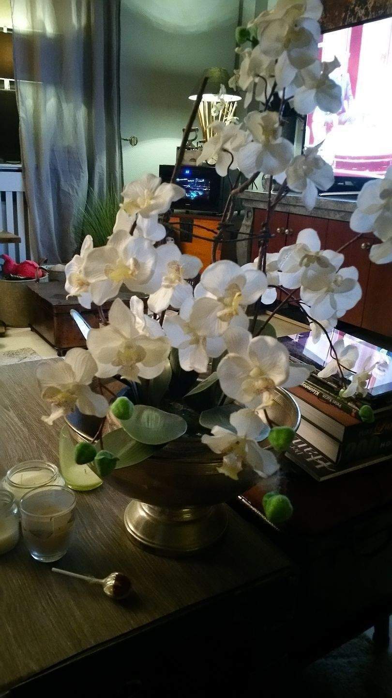 Property thumbnail 31