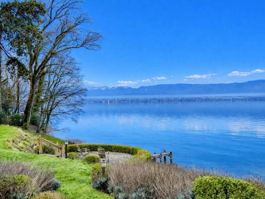 Einfamilienhaus zum Kauf 18 Zimmer 4.197 m² Grundstück Chens-sur-Léman 74140