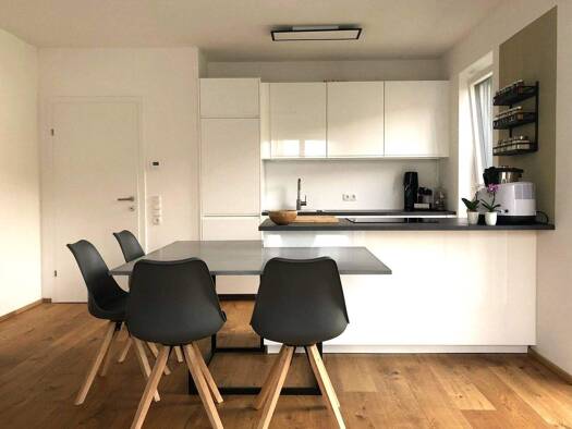 Wohnung zur Miete 816 € 2 Zimmer 56 m² 1. Geschoss Heiglstraße 9b Ernsthofen 4432