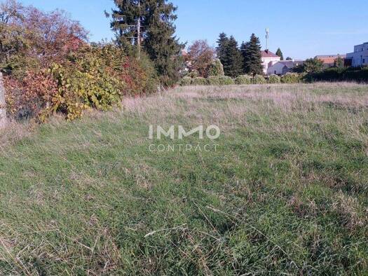 Grundstück zum Kauf 249.000 € 2.790 m² Grundstück frei ab sofort Hohenau an der March 2273