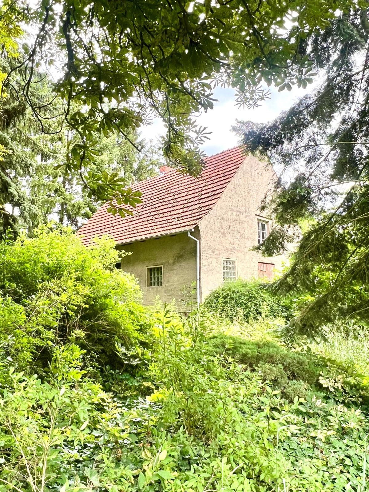 Einfamilienhaus zum Kauf 219.000 € 5 Zimmer 100 m²<br/>Wohnfläche 2.908 m²<br/>Grundstück Barsdorf Fürstenberg/Havel 16798