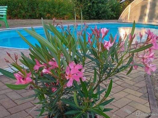 Bauernhaus zum Kauf 249.000 € 5 Zimmer 160 m² 4.333 m² Grundstück Petzschwitz Lommatzsch / Petzschwitz 01623