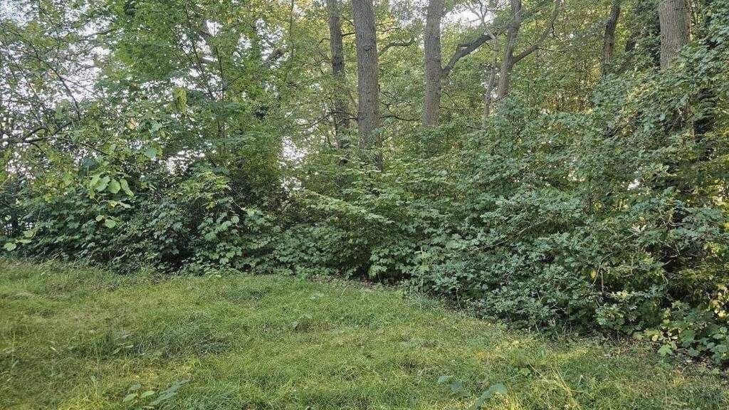 Grundstück zum Kauf 95.000 € 1.200 m² Grundstück Dipshorn Vorwerk 27412