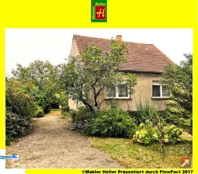 Haus zum Kauf 40.000 € 4 Zimmer 90 m² 3.818 m² Grundstück Döllingen Plessa 04928