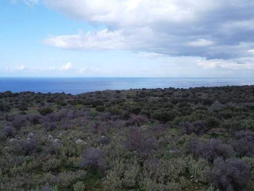 Grundstück zum Kauf 330.000 € 9.670 m² Grundstück Kreta Municipality of Apokoronas 730 08