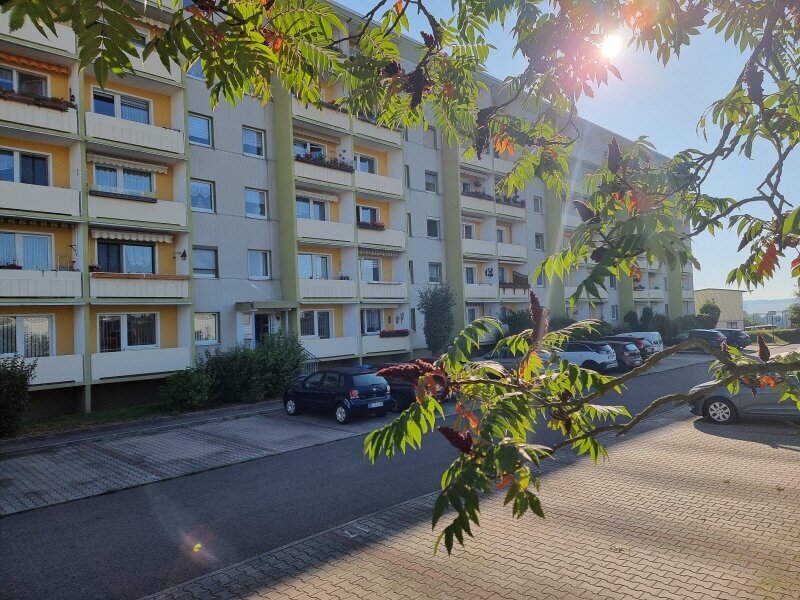 Wohnung zur Miete 337 € 2,5 Zimmer 56,2 m²<br/>Wohnfläche Crimmitschau Crimmitschau 08451