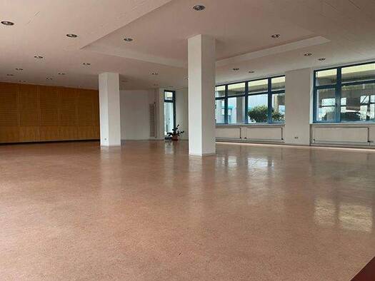 Bürofläche zur Miete provisionsfrei 6.560 € 732 m² Bürofläche Robert-Koch-Straße Hechtsheim Mainz 55129