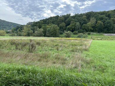 Landwirtschaftliche Fläche zum Kauf 6.500 € 3.349 m² Grundstück Untereschenbach Hammelburg 97762