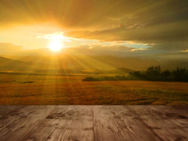 Einfamilienhaus zum Kauf provisionsfrei 605.558 € 6 Zimmer 125 m² 945 m² Grundstück Walldürn 74931