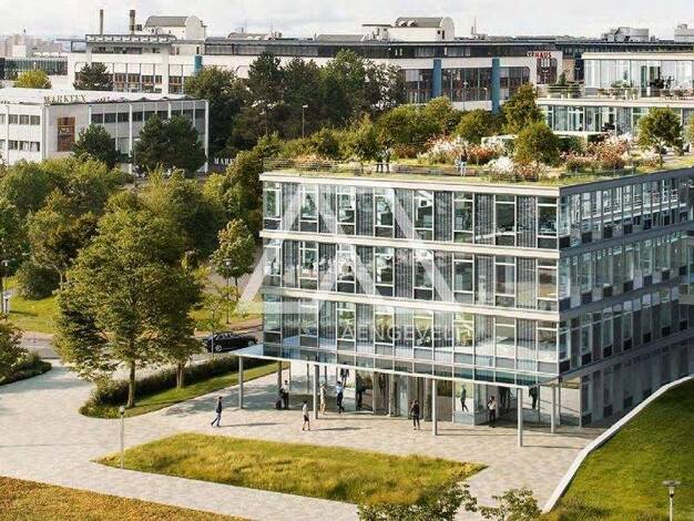 Büro zur Miete provisionsfrei 14,50 € 11.781,7 m² Bürofläche teilbar ab 655,4 m² Kronberg 61476