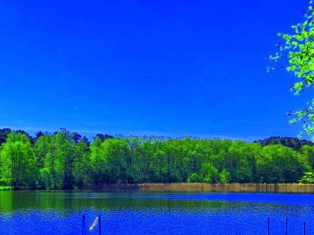 Einfamilienhaus zum Kauf provisionsfrei 798.000 € 6 Zimmer 170 m² 1.350 m² Grundstück Schmöckwitz Berlin 12527