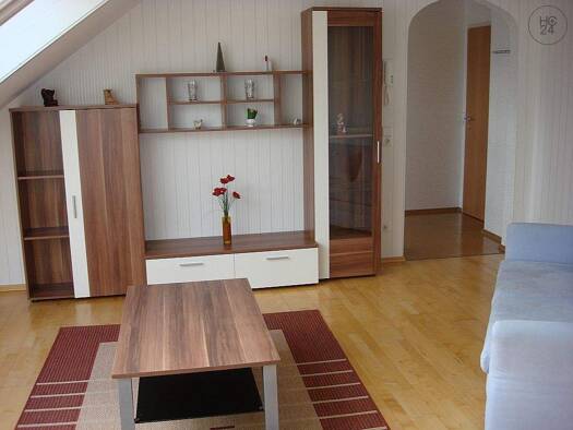 Wohnung zur Miete Wohnen auf Zeit 680 € 2 Zimmer 40 m² frei ab sofort Erbach 89155