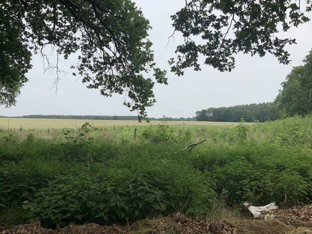 Grundstück zum Kauf provisionsfrei 170.000 € 19.700 m² Grundstück Schulzendorf 15732