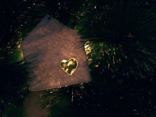 Mehrfamilienhaus zum Kauf 498.000 € 8 Zimmer 190 m² 880 m² Grundstück Olfen 59399