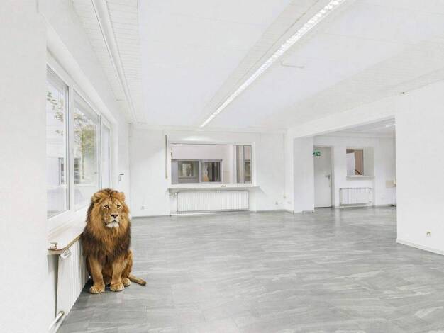 Bürogebäude zur Miete 1.900 € 255 m² Bürofläche Darmstadt 64289