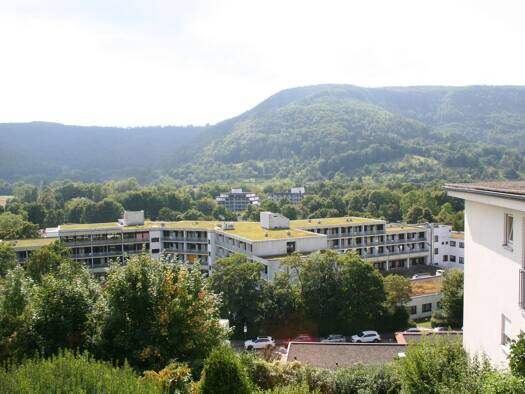 Terrassenwohnung zum Kauf 199.000 € 3 Zimmer 86 m² frei ab sofort Bad Urach 72574
