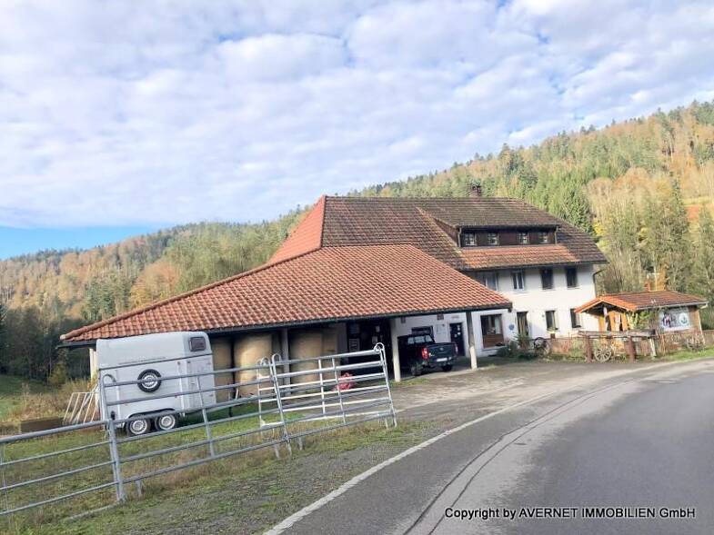 Bauernhaus zum Kauf 559.000 € 7 Zimmer 162 m² 1.576 m² Grundstück Au Todtmoos / Todtmoos Au 79682