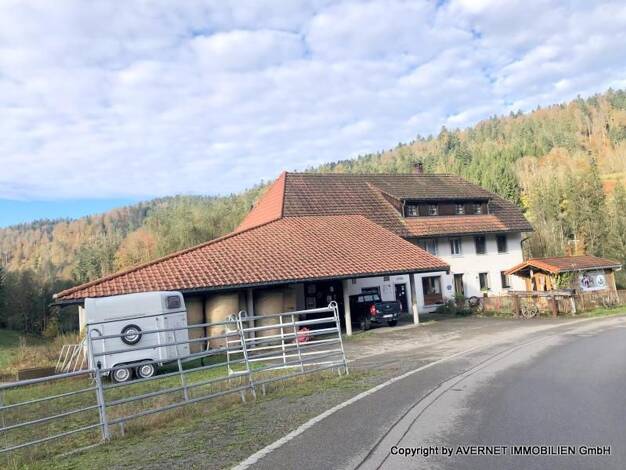 Bauernhaus zum Kauf 459.000 € 7 Zimmer 162 m² 1.576 m² Grundstück Au Todtmoos 79682