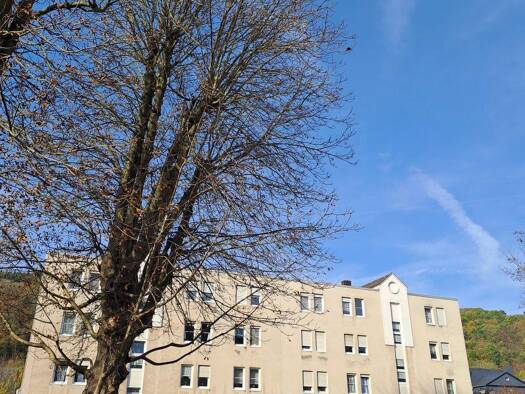 Wohnung zur Miete nur mit Wohnberechtigungsschein 660 € 3 Zimmer 82,9 m² EG frei ab 01.01.2026 Trier-West-Pallien Trier 54294