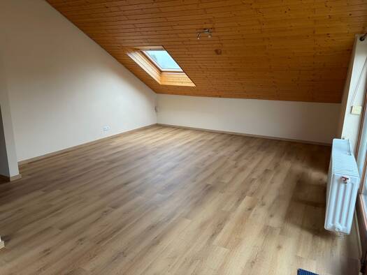 Wohnung zur Miete 720 € 2 Zimmer 60 m² Geschoss -2/2 frei ab sofort Aulendorf Aulendorf 88326