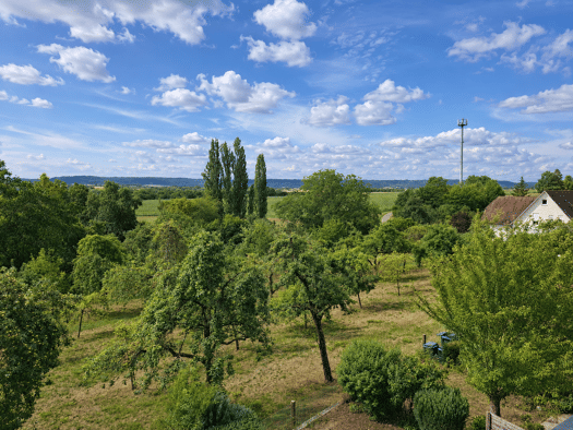 Reihenendhaus zum Kauf 498.000 € 5,5 Zimmer 150 m² 220 m² Grundstück Schönbergweg 22 Schwäbisch Hall Schwäbisch Hall 74523