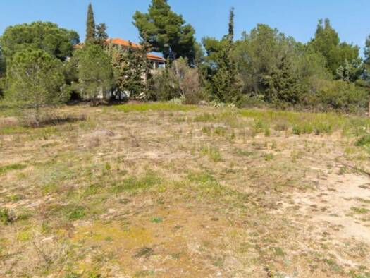 Landwirtschaftliche Fläche zum Kauf 300.000 € Municipality of Sithonia