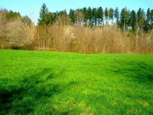 Grundstück zum Kauf 598.000 € 824 m² Grundstück Aschbach Feldkirchen-Westerham 83620