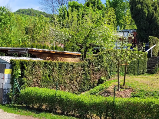 Bungalow zum Kauf 149.900 € 2 Zimmer 100 m² 500 m² Grundstück Niederdorla Hainrode-Teichtal  Thüringen 99752