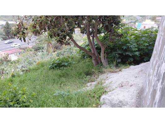 Acker-/Waldstück zum Kauf 30.000 € Arucas 35400