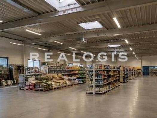 Halle/Industriefläche zur Miete 1.000 m² Lagerfläche Rhüden Seesen 38723